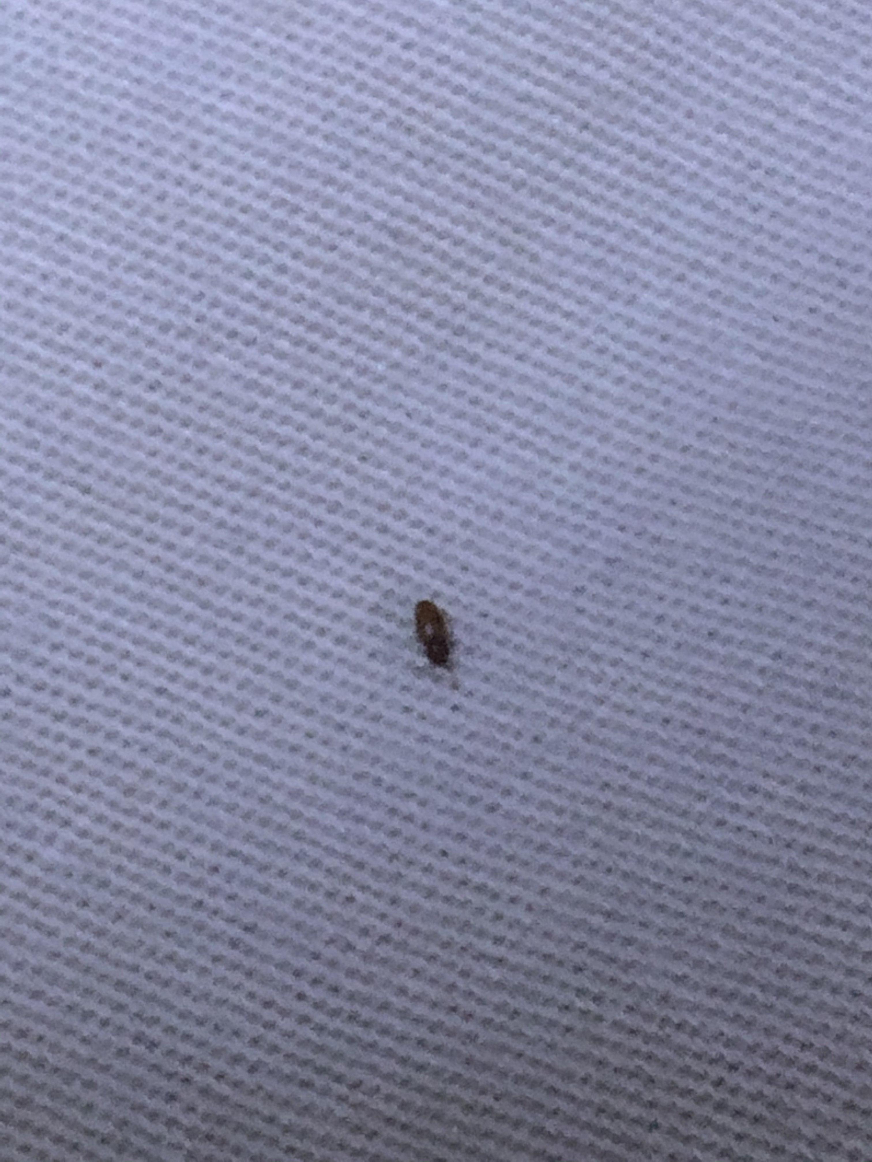 第187页